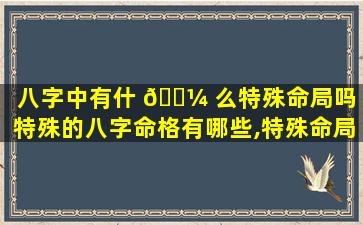 八字中有什 🐼 么特殊命局吗「特殊的八字命格有哪些,特殊命局好还是不好 🦁 」